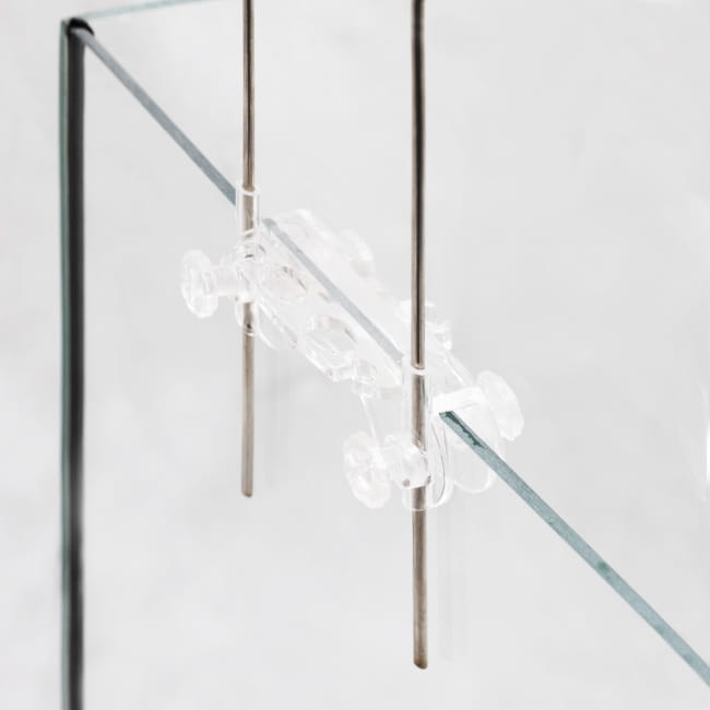 belka_max_white_ (1).jpg